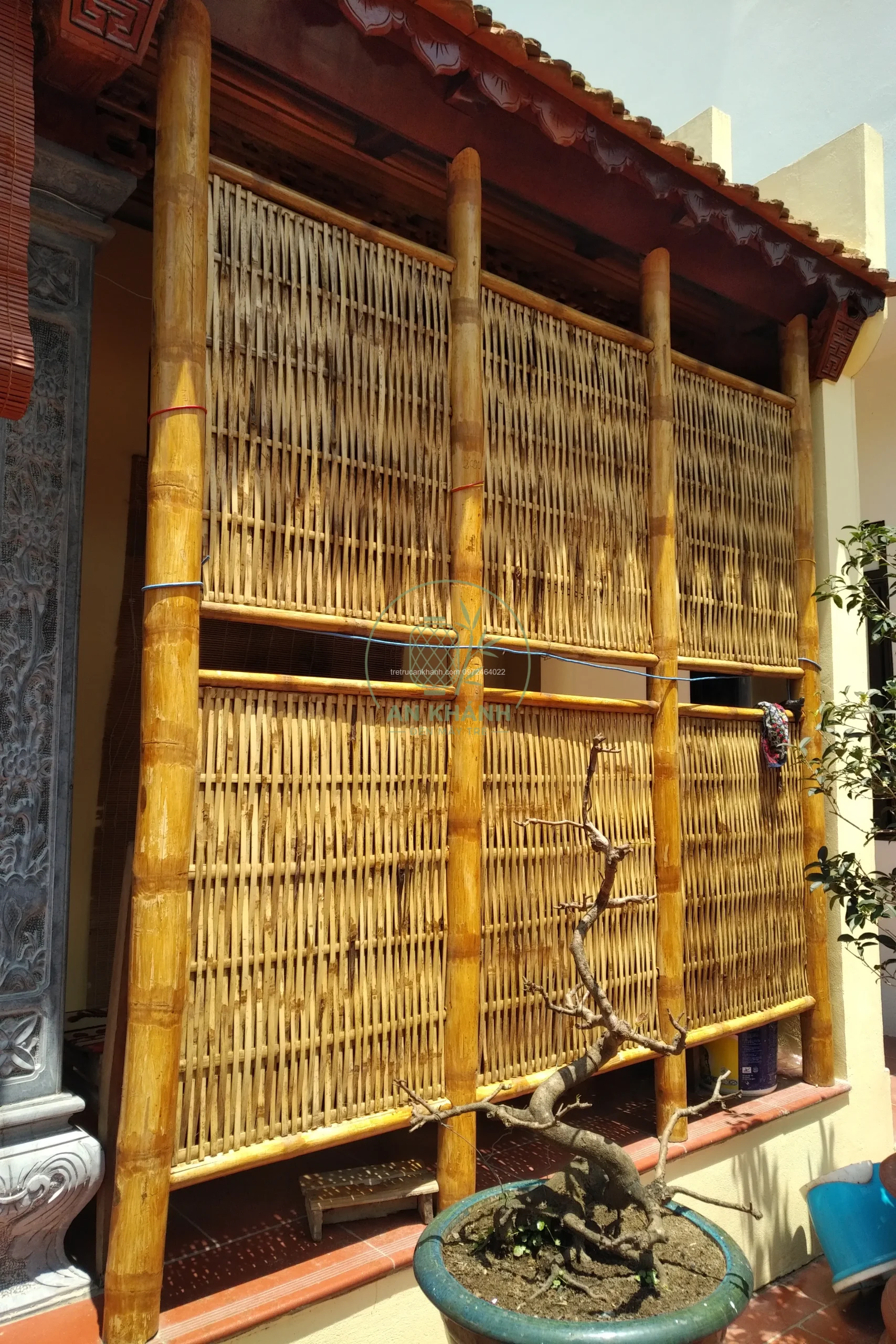 dại tre mộc tự nhiên